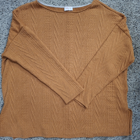 Nwot Hailey & Co sweater 1x - Picture 2 of 12